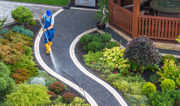 Best Pressure Washing Near Me  in Dollar Bay, MI